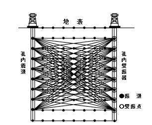 弾性波トモグラフィーの画像